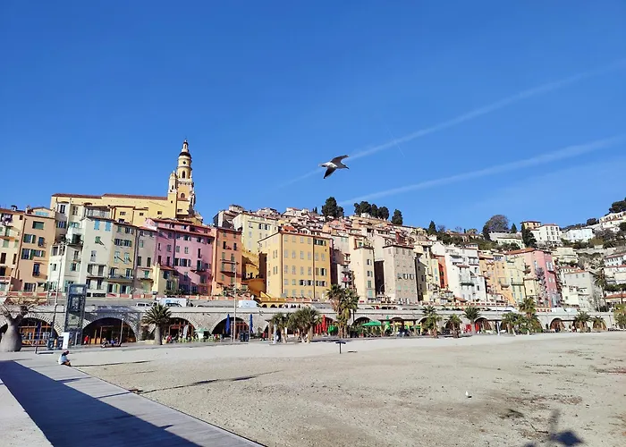 Le Coq Symphonie- Parking - Bord De Mer