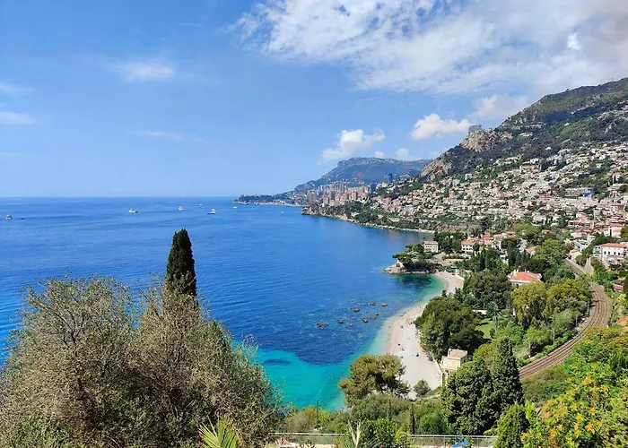 Le Coq Symphonie- Parking - Bord De Mer